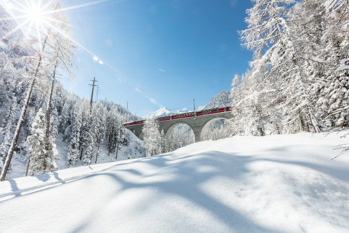 Treinreizen Zwitserland Winter - Bernina Express in de sneeuw op het Albula Viaduct